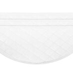 ECOVACS OZMO PRO 電動クリーニングモップキット画像